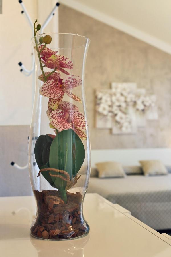 ברדולינו Flower Apartments מראה חיצוני תמונה